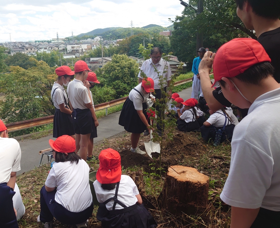 cyrc_s-1xom-347wkhjxhekaw3bn5nvt.jpg cyrc_s-1xom-347wkhjxhekaw3bn5nvt.jpg