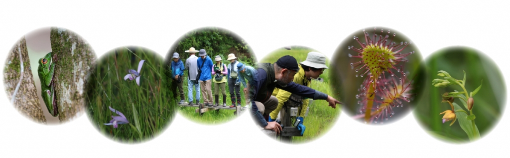 9ahvrdskbp-7ewj8vc83g_vanu4n6ynm.jpg 9ahvrdskbp-7ewj8vc83g_vanu4n6ynm.jpg