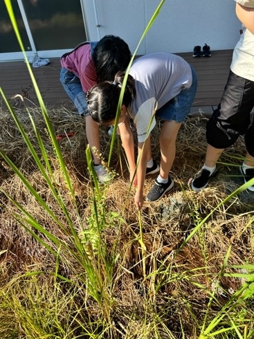 gg1ud6u-jmpug_5ihx6af-yhv5mb5cd8.jpg gg1ud6u-jmpug_5ihx6af-yhv5mb5cd8.jpg