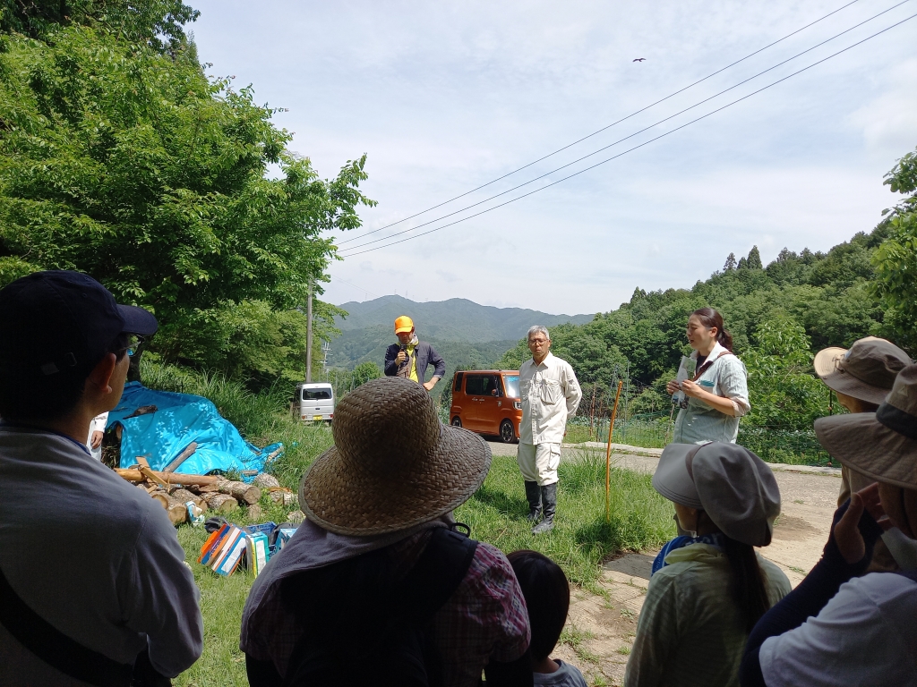 -myk8nps1uy7o15jddxtz3mzlo85tjr2.jpg -myk8nps1uy7o15jddxtz3mzlo85tjr2.jpg