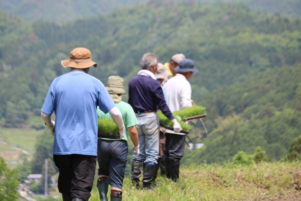 k0euvjr1xyvhk3lm3pmzqcwczvgq5dpu.jpg k0euvjr1xyvhk3lm3pmzqcwczvgq5dpu.jpg