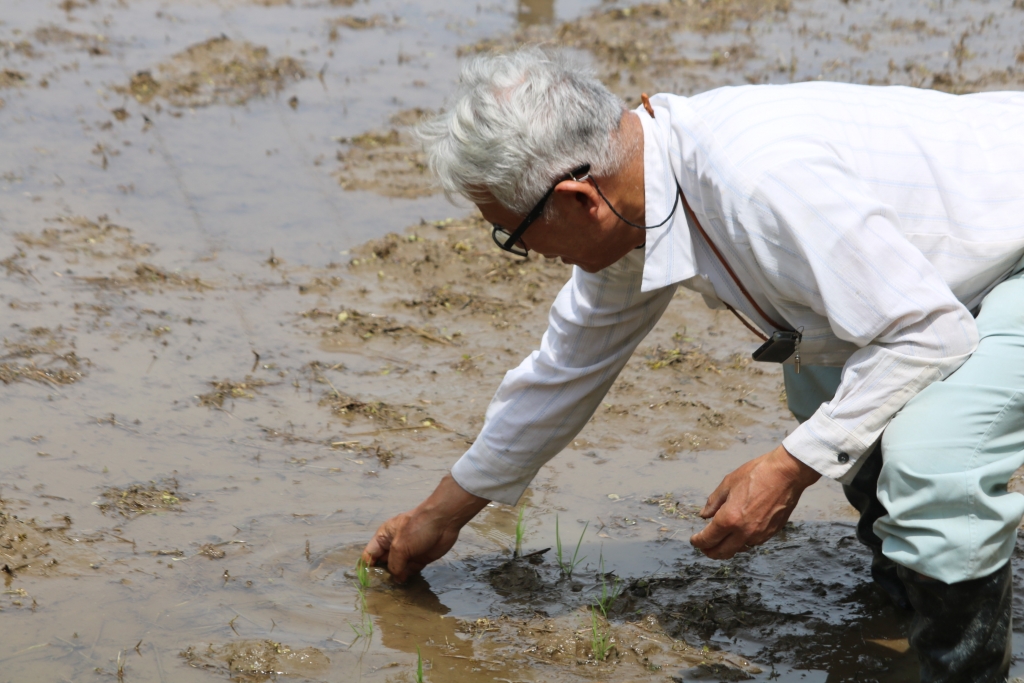 nkt1w_g28ns8h8w7i7h3bgmkkzoq6z9i.jpg nkt1w_g28ns8h8w7i7h3bgmkkzoq6z9i.jpg