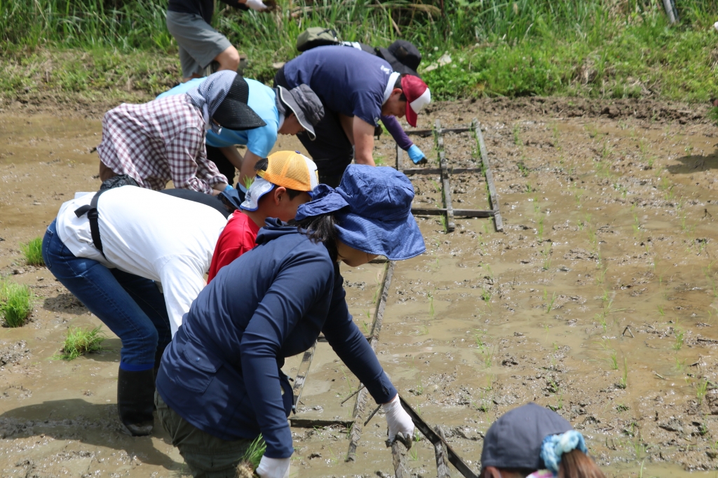 ync_yd-2r5fr1vz9aw24axx8vt0hi4s0.jpg ync_yd-2r5fr1vz9aw24axx8vt0hi4s0.jpg