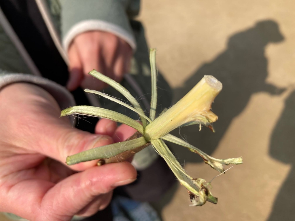 rlm-h799wye2q10n_g0056_eazfb2tqj.jpg rlm-h799wye2q10n_g0056_eazfb2tqj.jpg