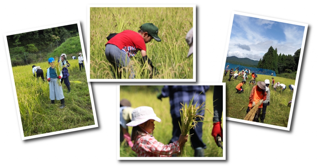 dpo4090jpcfc6yakruxypbrzrgo7u4bf.jpg dpo4090jpcfc6yakruxypbrzrgo7u4bf.jpg