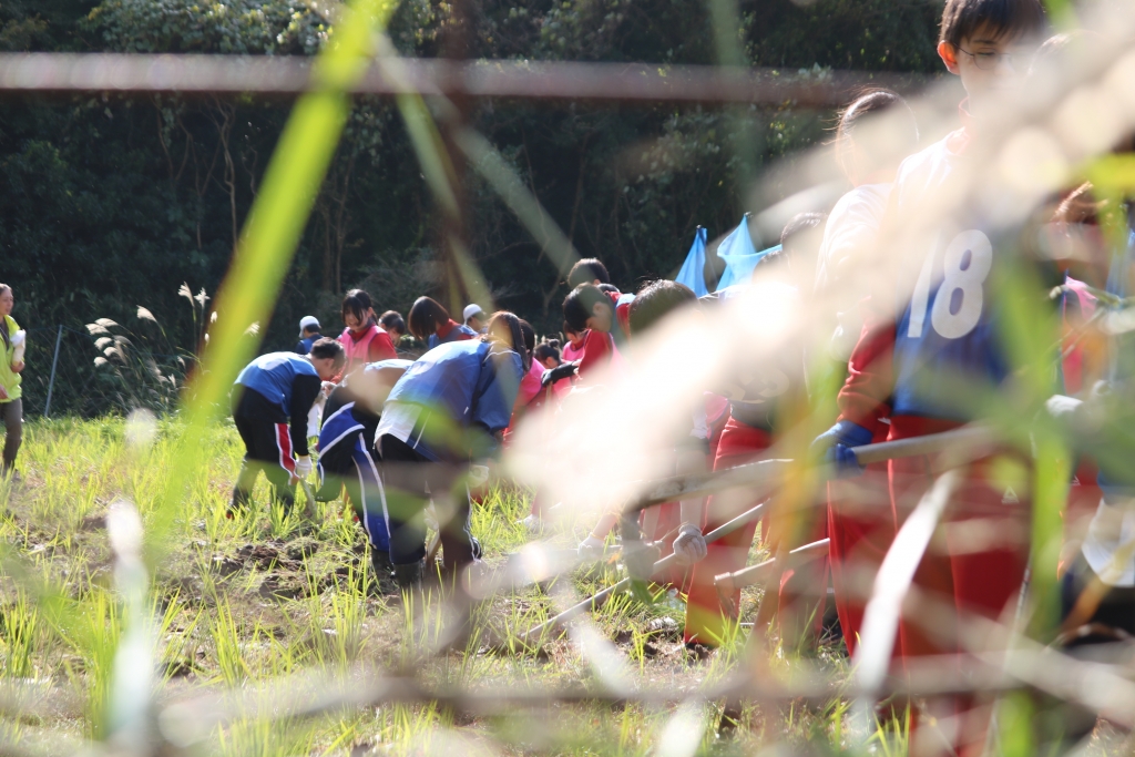 _qvszbekcj2asu_ta2pf8iayofffqv5l.jpg _qvszbekcj2asu_ta2pf8iayofffqv5l.jpg