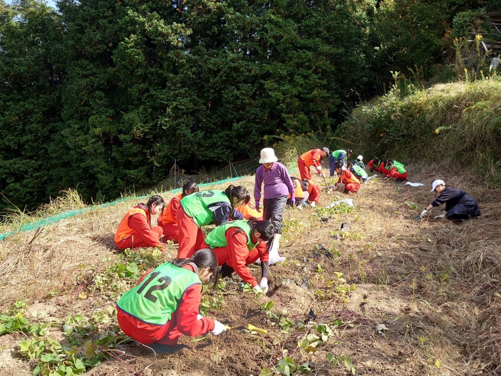 hnd9o87ixnb-lk00yf47w-lvm9y4c0nb.jpg hnd9o87ixnb-lk00yf47w-lvm9y4c0nb.jpg