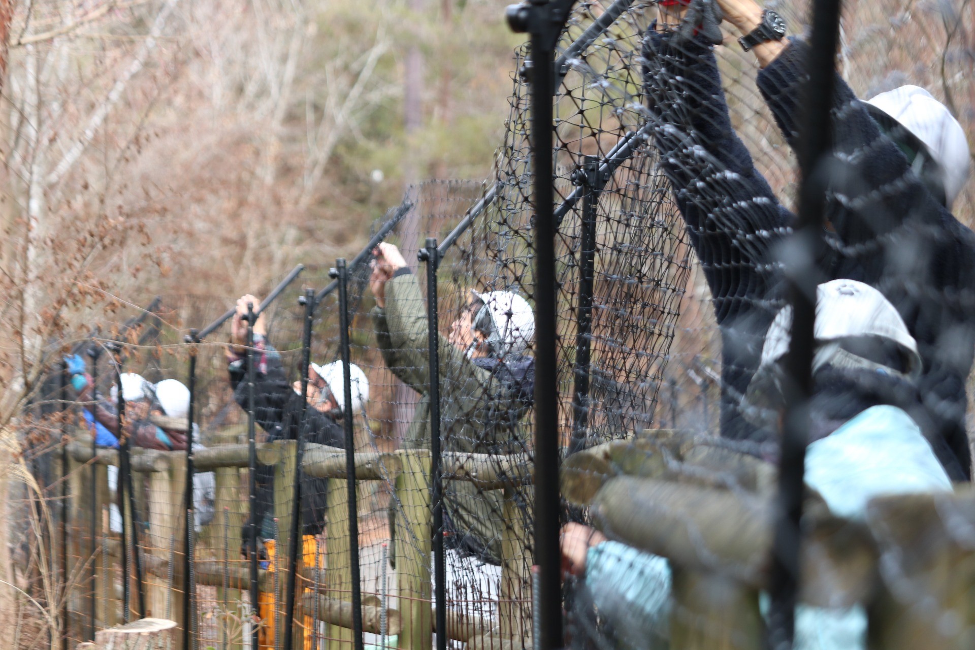 a0b973a09dbd097664638eb46c2de84e-1771556164.jpg a0b973a09dbd097664638eb46c2de84e-1771556164.jpg