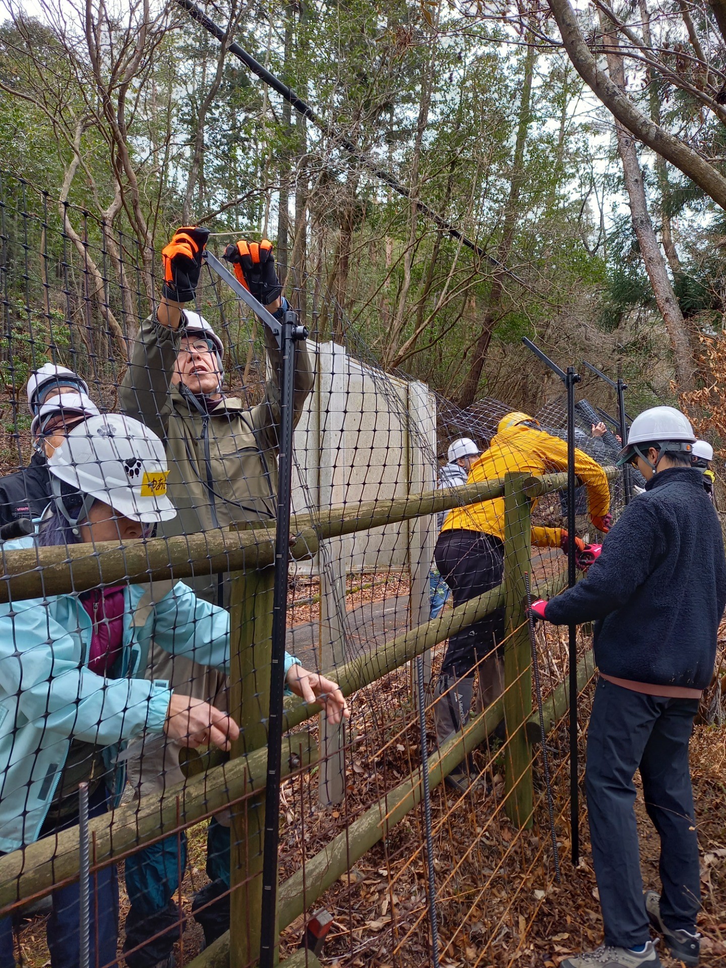 5aa141e8042f84e947d0b51876209fb7-1771556182.jpg 5aa141e8042f84e947d0b51876209fb7-1771556182.jpg