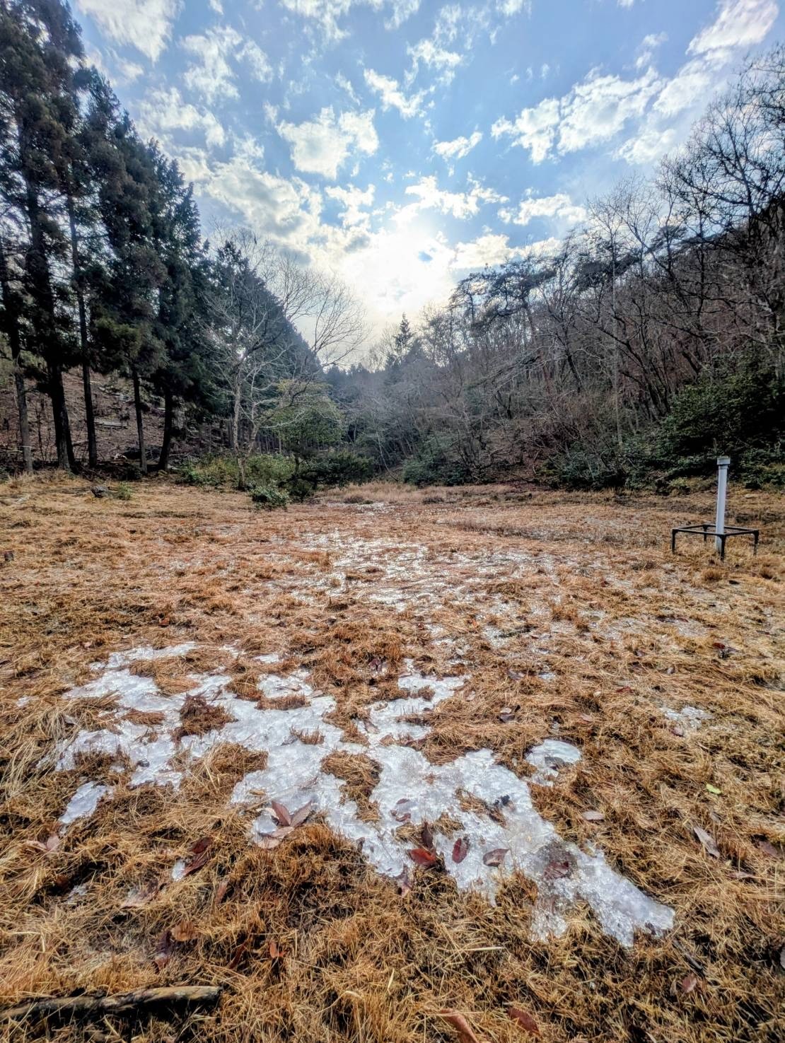 1abc296316a698078258bb52f1c9aa3f-1771556264.jpg 1abc296316a698078258bb52f1c9aa3f-1771556264.jpg