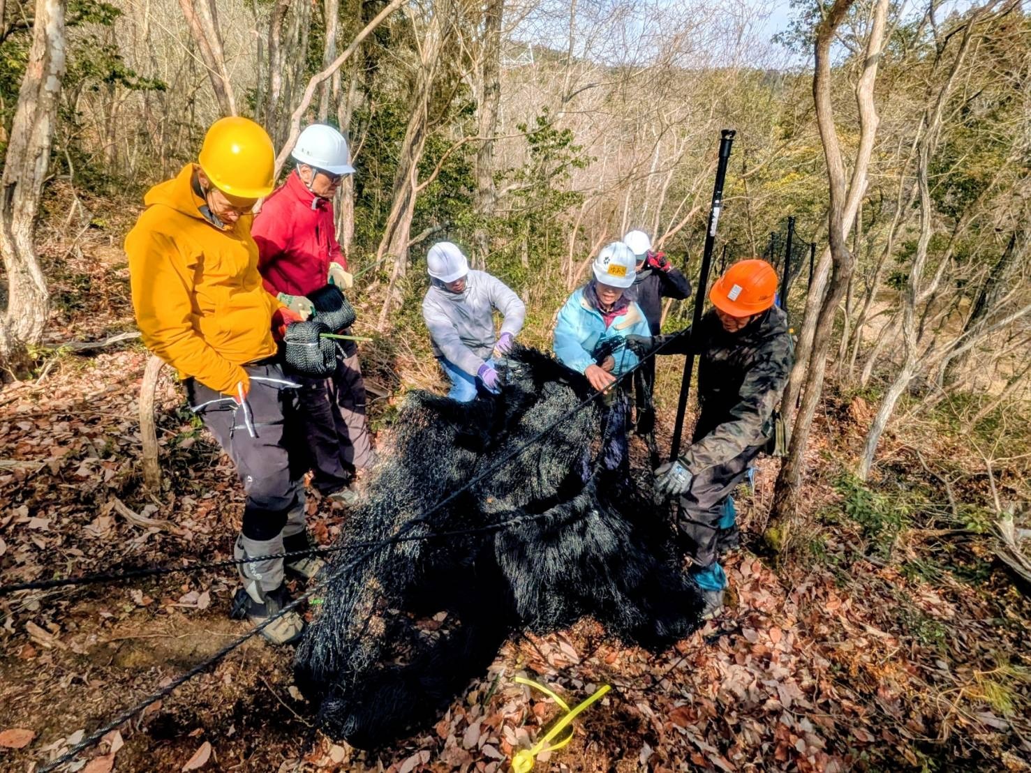 2be0f8b16ba61e113059e0dd8da9429d-1771556307.jpg 2be0f8b16ba61e113059e0dd8da9429d-1771556307.jpg