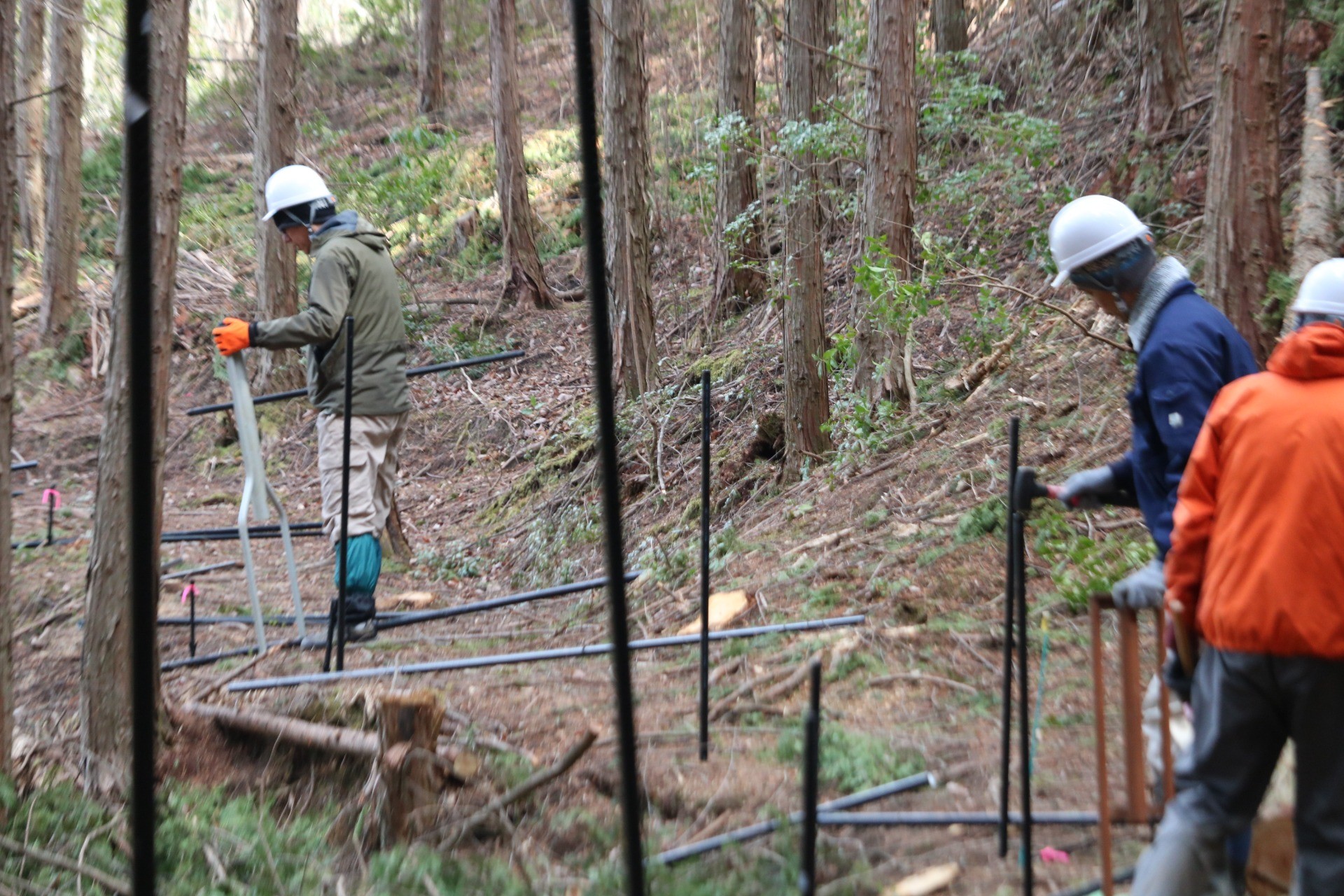 231b4c576b21d3dd4740d87542ff7bd6-1771556331.jpg 231b4c576b21d3dd4740d87542ff7bd6-1771556331.jpg