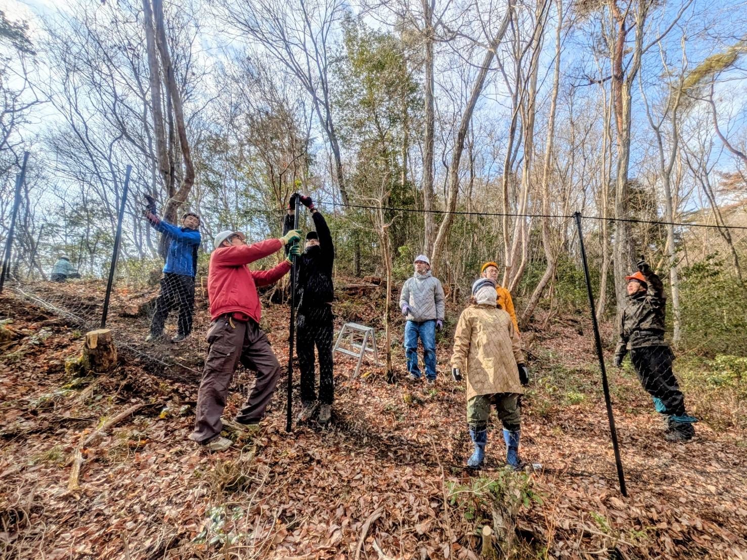 eb86b9d9be98e6d05f823c0f26a26f30-1771556354.jpg eb86b9d9be98e6d05f823c0f26a26f30-1771556354.jpg