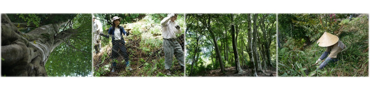 0d5b1c4c7f720f698946c7f6ab08f687-1771553214.jpg 0d5b1c4c7f720f698946c7f6ab08f687-1771553214.jpg