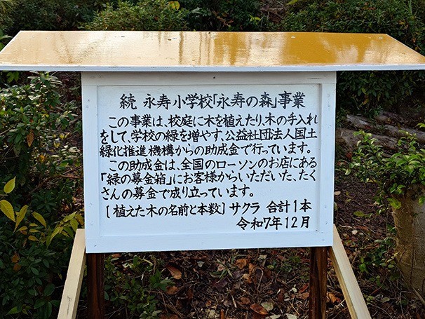 5f072e9e594bfdb5ce04b0bb53dad742-1773880677.jpg 5f072e9e594bfdb5ce04b0bb53dad742-1773880677.jpg