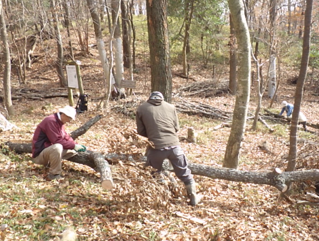 あなたも保全活動に参加しませんか?