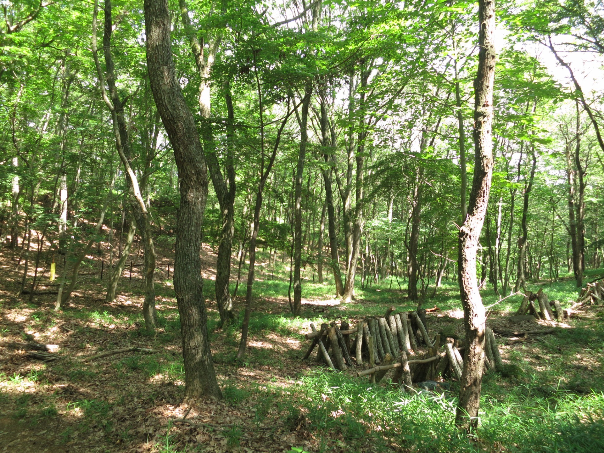 能勢ネイチャーポジティブプロジェクトがスタート