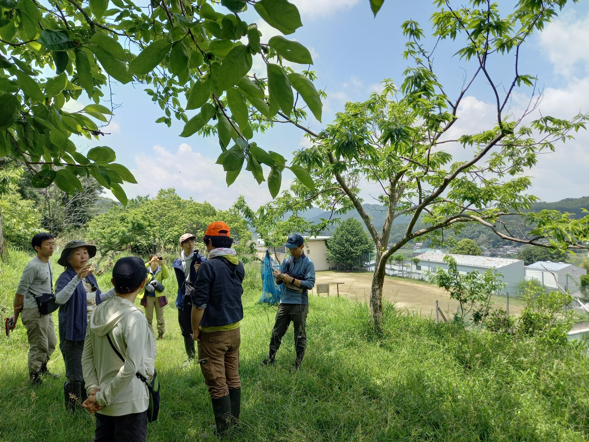 歌垣銀寄栗の森