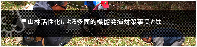 里山林活性化による多面的機能発揮対策事業とは