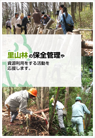 里山林の保全管理や資源利用をする活動を応援します。