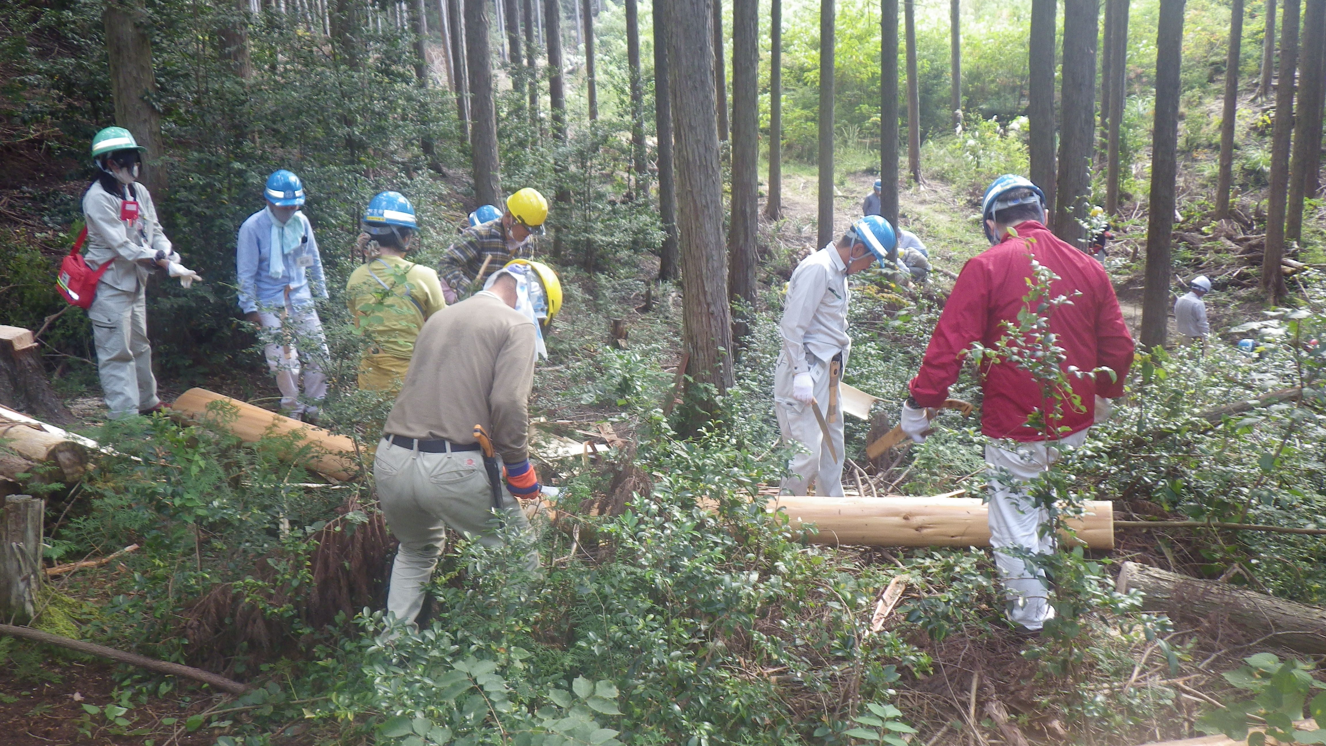 特定非営利活動法人　森林ボランティア　竹取物語の会